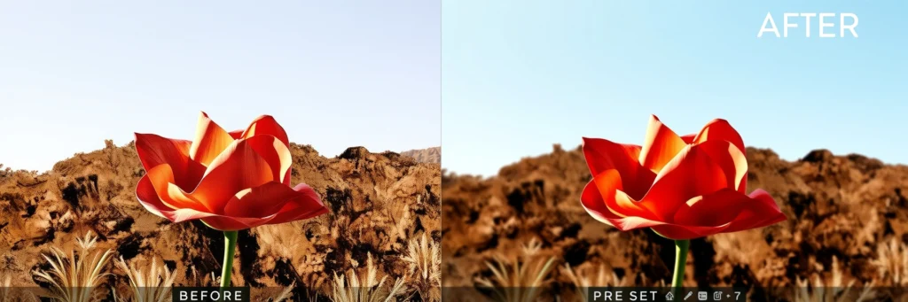 10 Amazing High-Profit Digital Products You Can Create in a Weekend: Pinterest Seller's Guide for 2025 6 Before and after comparison of photo editing with Lightroom presets, showing dramatic transformation with single-click application