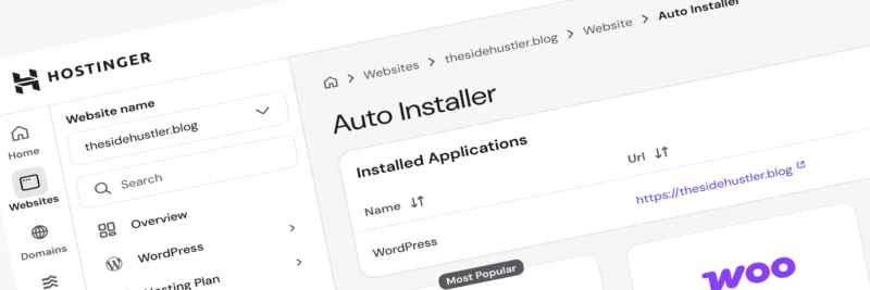 This screenshot shows that I own and operate a website hosted by Hostinger, which I discuss in my Hostinger review. It confirms my first-hand experience and authority as the author.